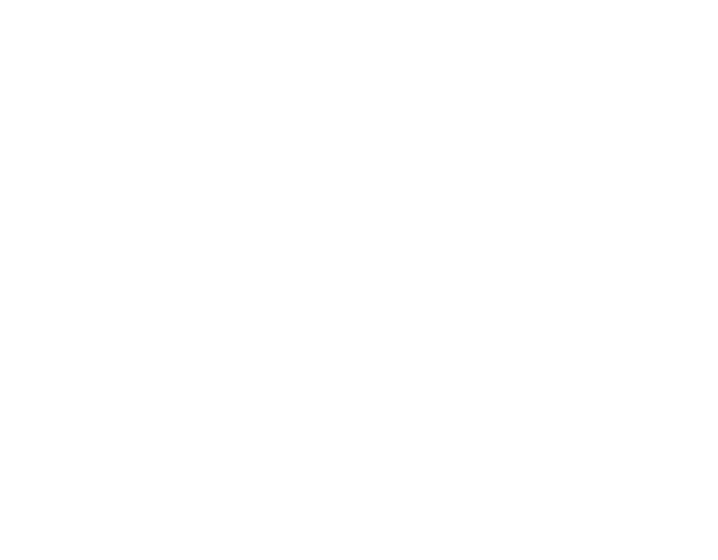 Martins Mission